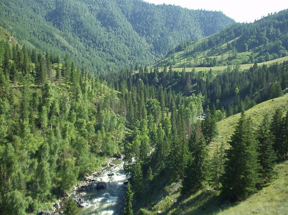 Река Урсул в горах