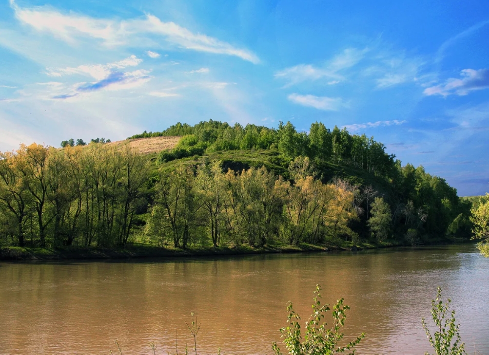 Природа на берегу реки Иша на Алтае
