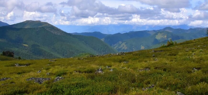 Сайлюгемский национальный парк на Алтае